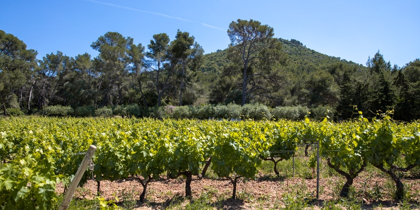 28244b621faa4d57a3a5a83b624e13d6