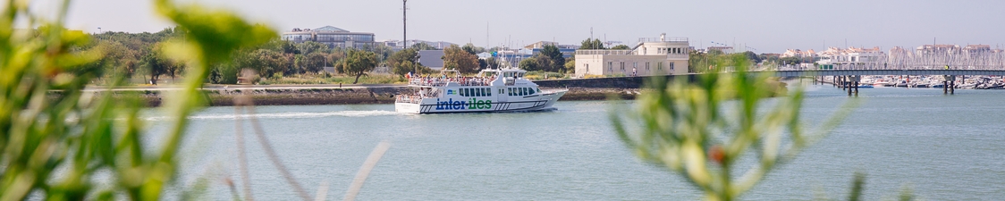 Excursions en bateau