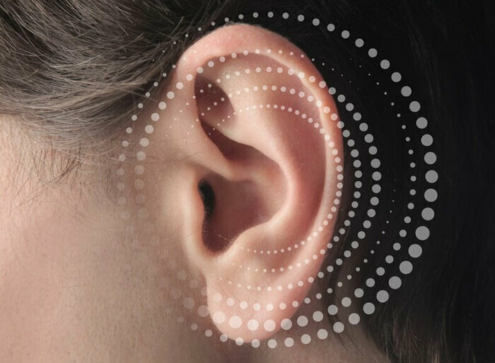 36dcef2a9f4a45008a9a5f283dbaa124