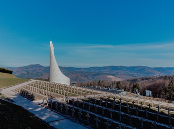 1cece4c2fe6f4d219ee341e4ca958728