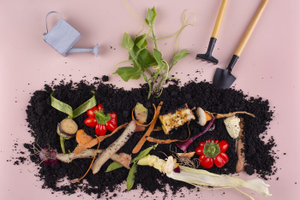 | Formation aménagements : Et si mes déchets végétaux rendaient mon jardin plus beau ? |
