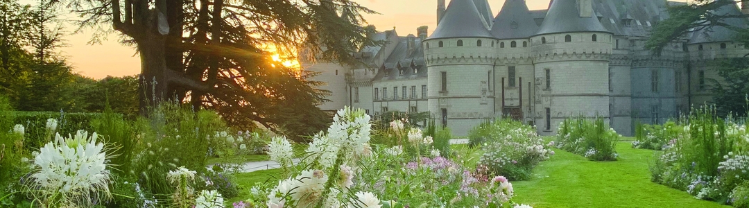 background-tours