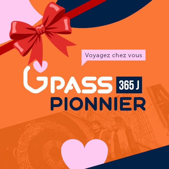 G-PASS Pionnier 365J