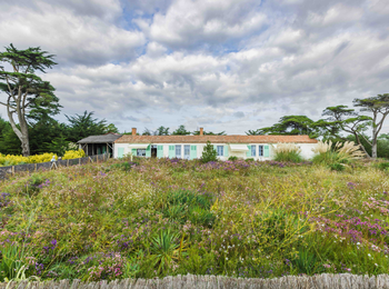 e34b35ccd7224fa68c8f3d42d823cf87