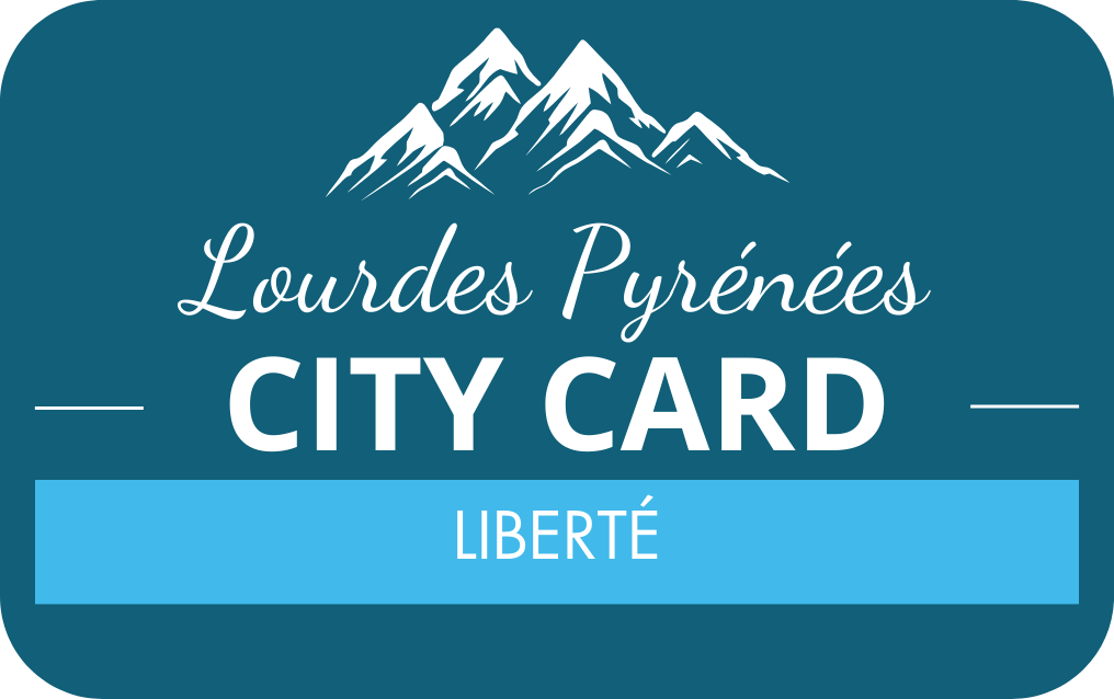 CITY CARD 3 DÍAS 
