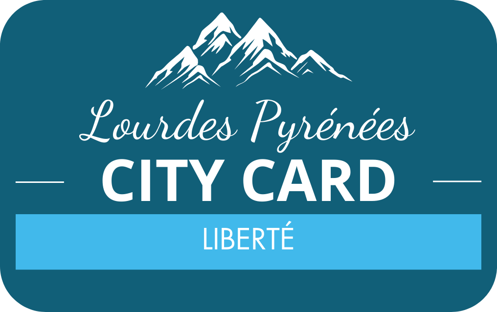 CITY CARD 3 DAYS