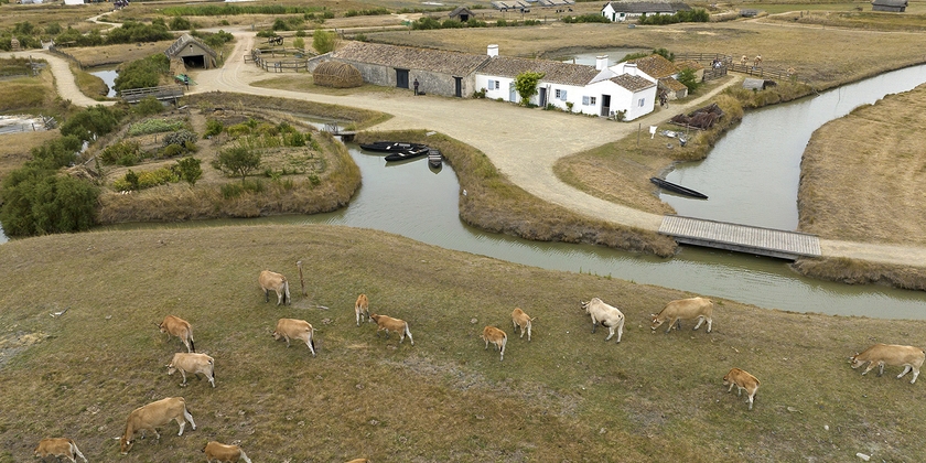Visitez Le Daviaud à -50% les lundis matins