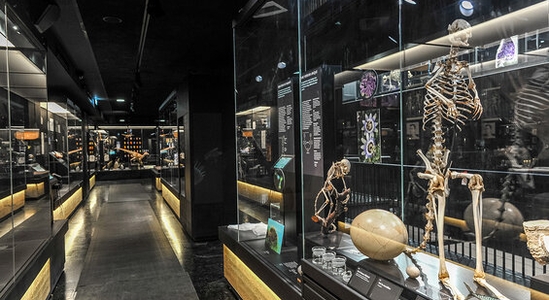 MOBE - Muséum d’Orléans pour la Biodiversité et l’Environnement