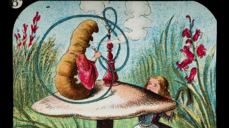 ed195e9fb48544b6bf8e607ddb6c60df