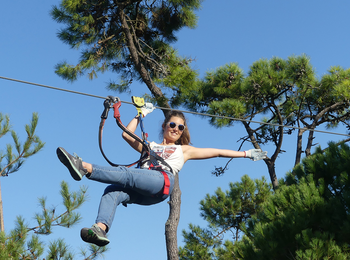 f056b5f3184e4dc182b4dc11bff53621