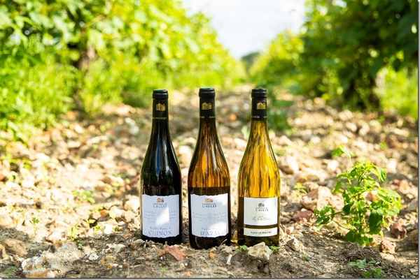 720533788580473c94635cd72b58e901