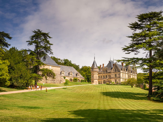 Château and gardens of la Bourdaisière