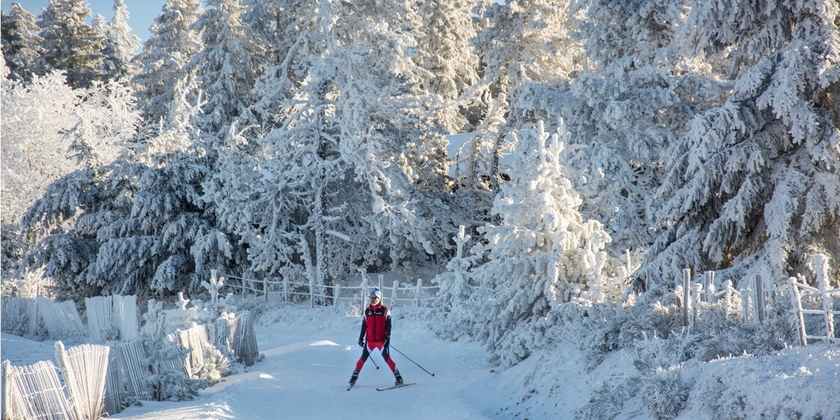 49815675847949d2bf776e5f968f9833