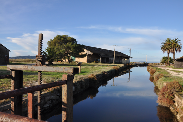 fd2ef0b8cfef43cb8ff5e25d28b91d8d