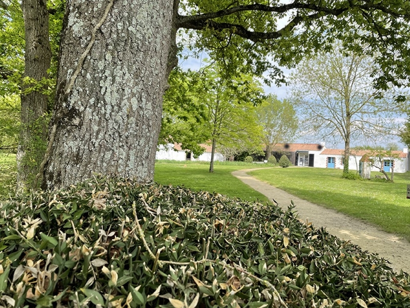 cf0c97dab59346dead3613736676c66b