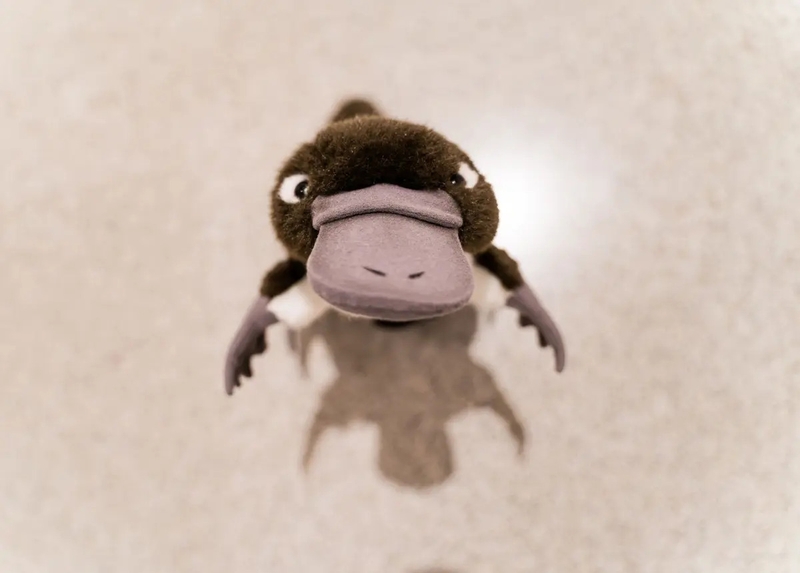 1c4f2b32738f424d9946bc1a3f608441