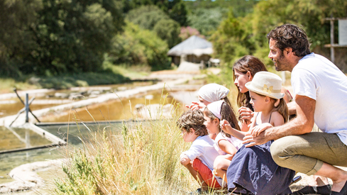 03366609167e456597427428c87d6746