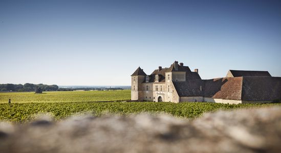 Visite libre du Château du Clos de Vougeot