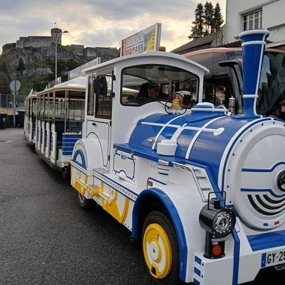 SMALL TOURIST TRAIN (PETIT TRAIN TOURISTIQUE)