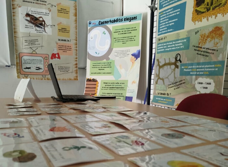 0c9380bc168d4279aacfa7bf248422cd