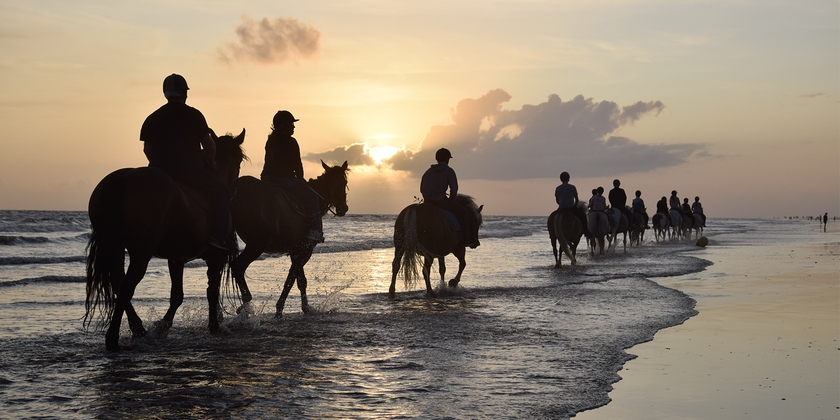 Reduced-rate horse or pony rides