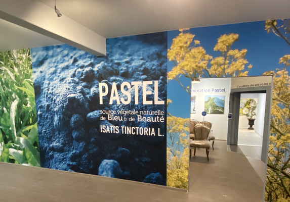 Le Muséum du Pastel