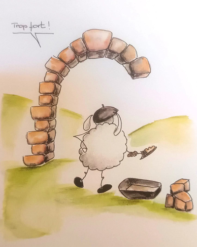 Exhibition "The sheep in all its states!" at the Caussenarde Farm
