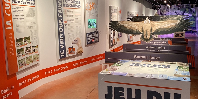 af67f2f000bc4eda9d36cad3ec79c0c5