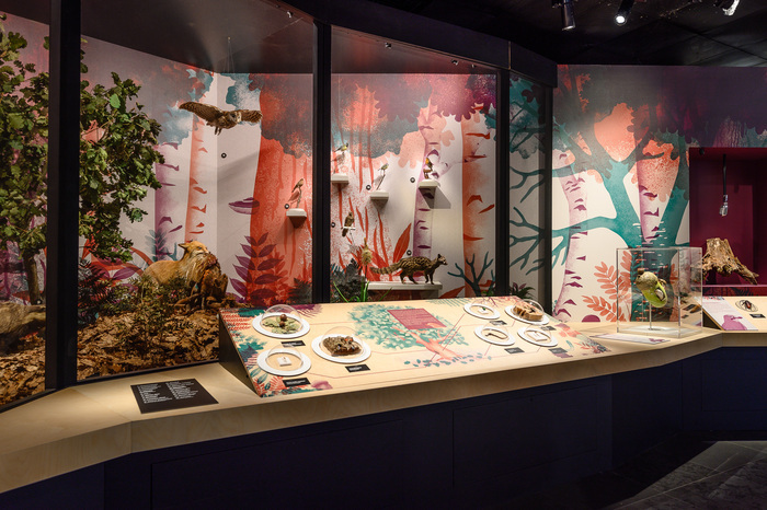 cf9e950708714d538fafc032d3ed01ee