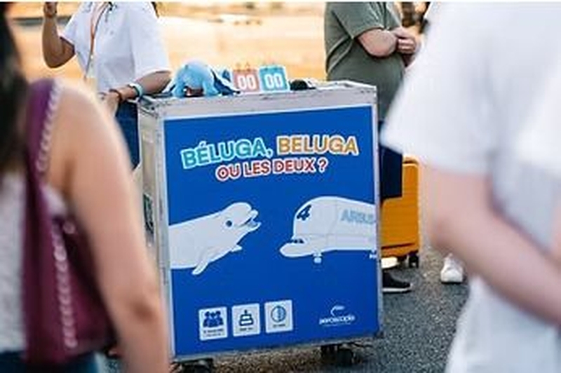 | Béluga, Beluga ou les 2 ?  |