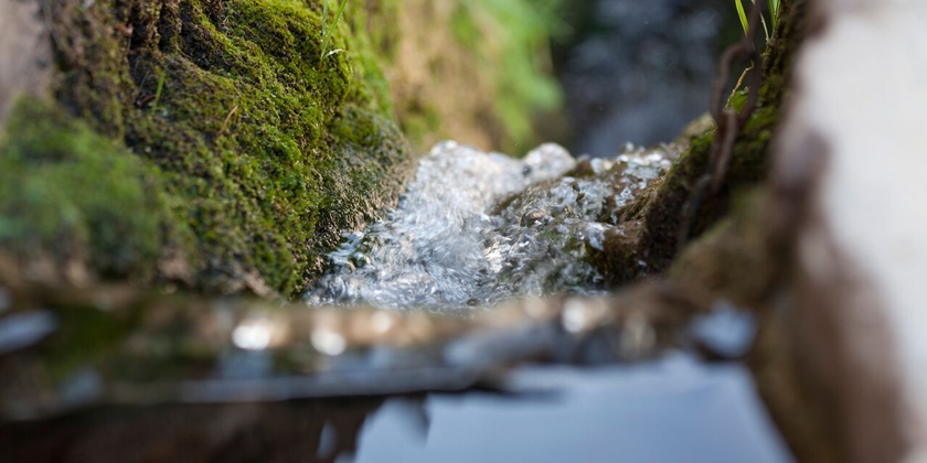 dcd96e9126854a0089237e664aad9395