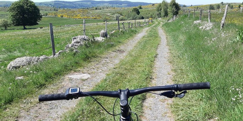 8d7c8b52a25b47fa996f9971f6562144