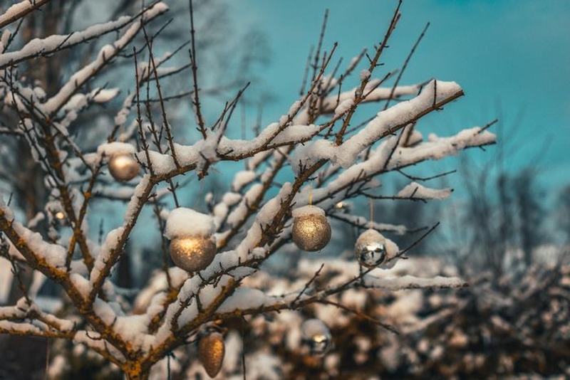 | Veillée de Noël |
