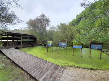 d2a394411a9c4f2ba7fadd490b7dc0ef