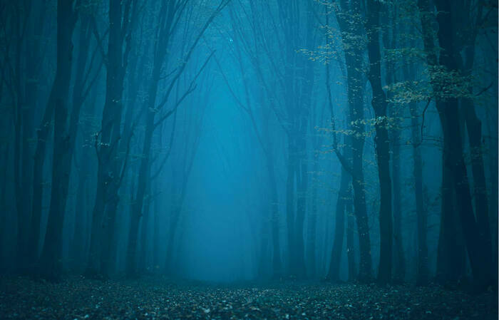 3bd194fa70ca4a009ecca99a1330e977