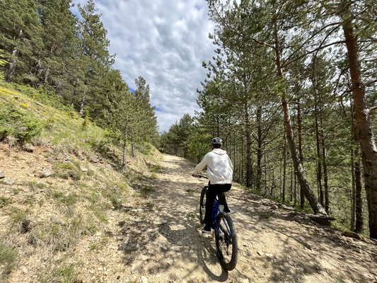 3d3f45529b0645189ab92ee7e0e427c3