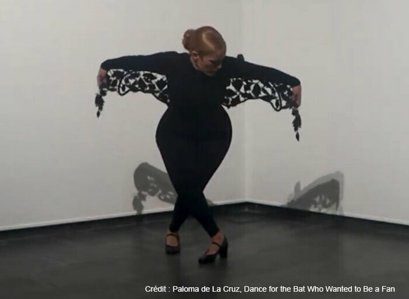 efc03b5b6de7481bbe8786df61cc5d3d