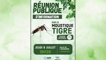 | Réunion publique : Moustique tigre |
