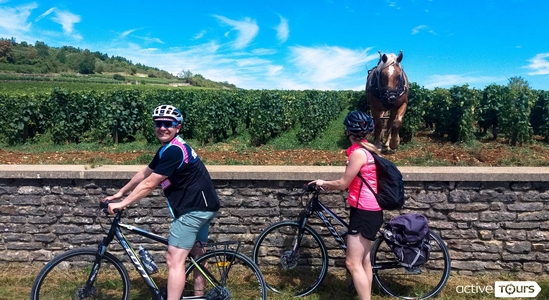 10% de réduction sur les locations de vélo adulte et  les vélos électriques dans les magasins Active Tours de Dijon et de Beaune