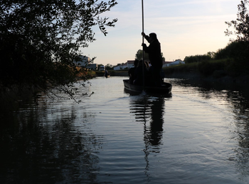 ebb5fe5390cb458ea392d596d67e3861