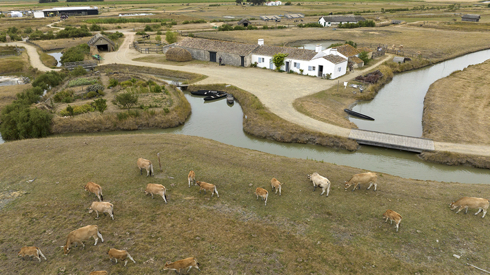 87fe4a63ae37465aa288cbb58c34c0bc