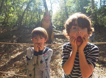 005dc0c747f542dda50b46d82f7cc4bf