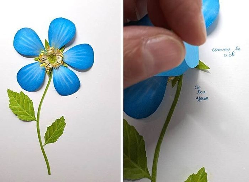 | Sous les jupes des fleurs avec Fanny Pageaud |