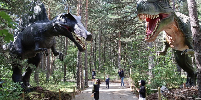 f4131322daed4d2b9e9eea3ef3823416