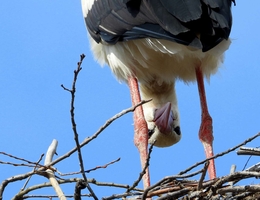 Parcs animaliers, parcs et loisirs