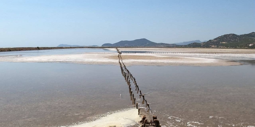 23d54a635fec405f93eebb46cc92aa65