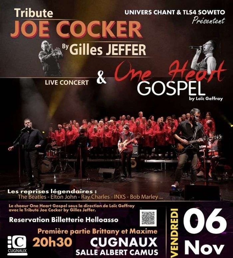 | Concert Tribute Joe Cocker |