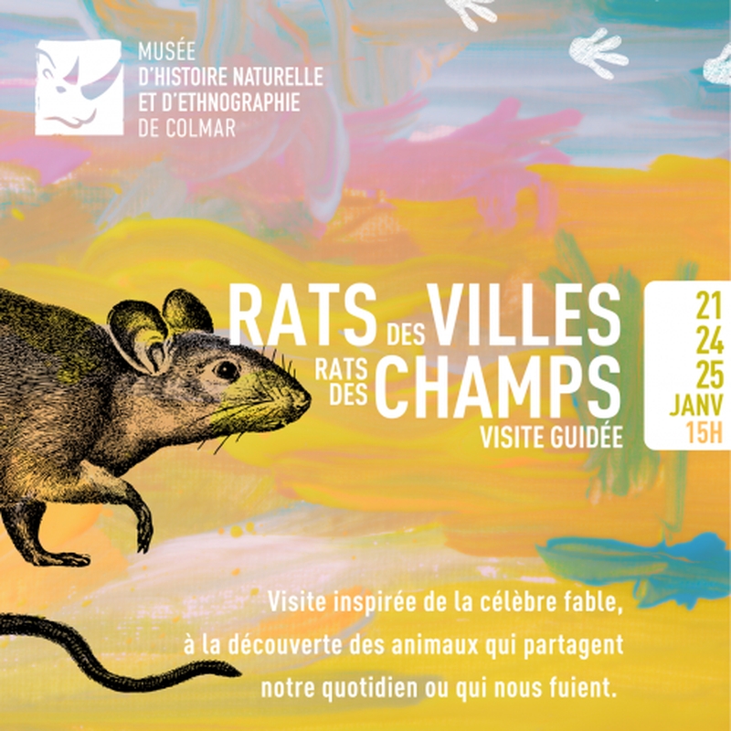 eeb3d2d7b8474e048713895940055fdc