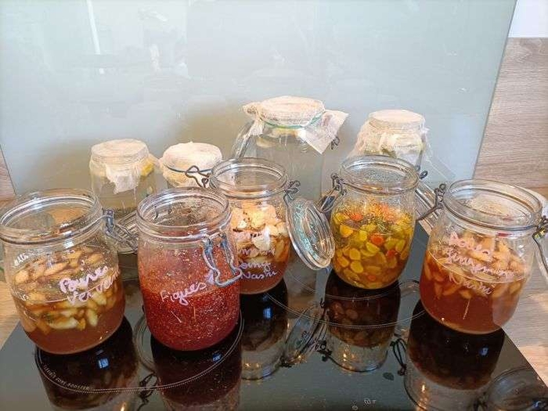| Fabrique des possibles : Fabrication d'un kôso (sirop fermenté) pour affronter l'hiver! |