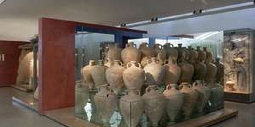 Amphoralis